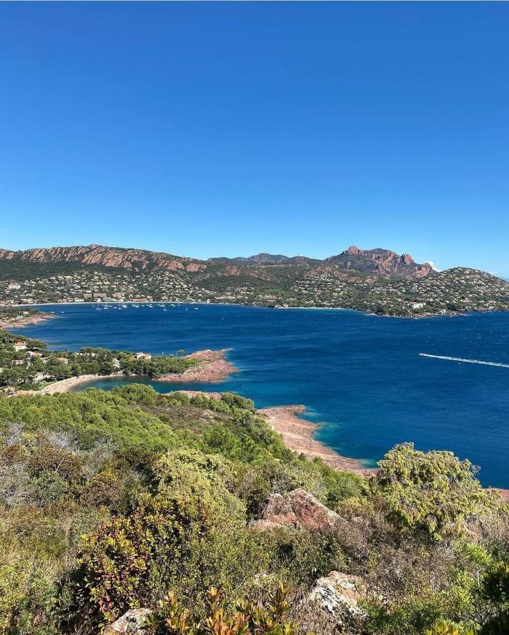 Cannes - Appartement Cosy Et Lumineux 外观 照片